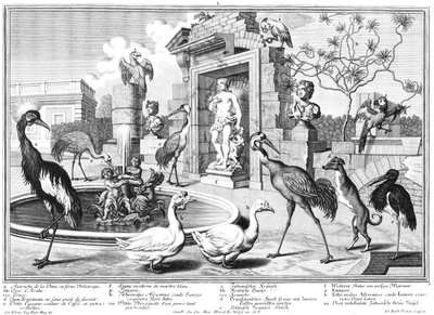 Gruas e patos de Salomon Kleiner
