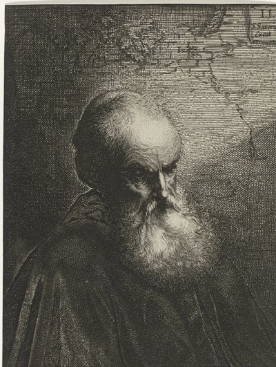Retrato de um homem velho com barba de Salomon Savery