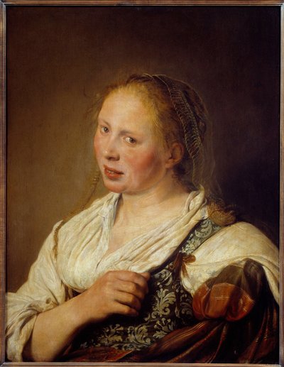 Retrato de um Jovem Camponês Flamengo de Salomão de Bray (1597-1664) de Salomon de Bray