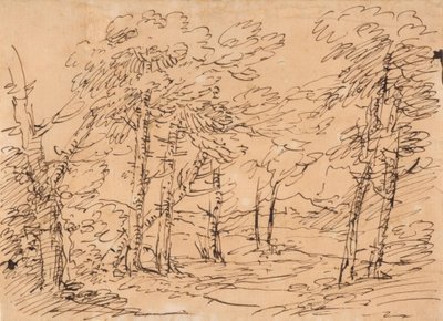 Paisagem com árvores e montanhas ao fundo de Salvator Rosa