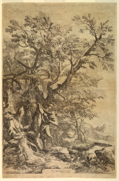 Édipo exposto no Monte Citaeron de Salvator Rosa