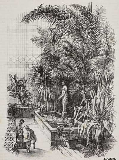 Laocoon e os seus filhos, estátua romana, litografia de Salvatore Puglia de Poliorama Pittoresco, n 1, 13 de Agosto de Salvatore Puglia