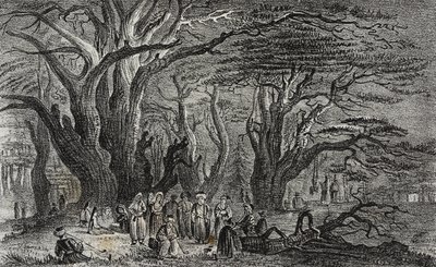 Velhos cedros do Líbano em Tyre, Líbano, litografia de Salvatore Puglia de Poliorama Pittoresco, n 25, 28 de Janeiro de Salvatore Puglia
