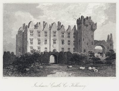 Inchmore Castle, Co Kilkenny (gravura) de Samuel (after) Austin