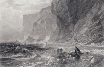 Ilustração para O Pirata de Sir Walter Scott (gravura) de Samuel (after) Bough