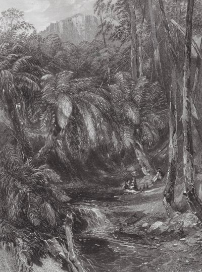 Austrália: Um vale de fetos (gravura) de Samuel (after) Prout