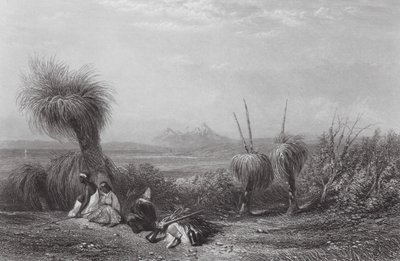 Austrália: Planícies de Grass Tree (gravura) de Samuel (after) Prout