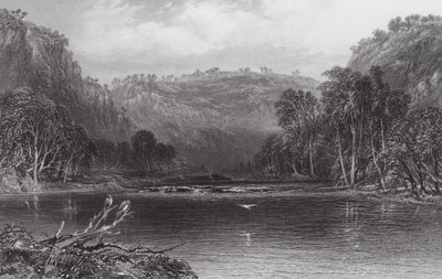 Austrália: No rio Cow Pasture (gravura) de Samuel (after) Prout