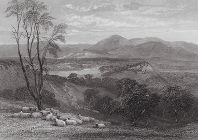 Austrália: O Alto Goulburn, Victoria (gravura) de Samuel (after) Prout