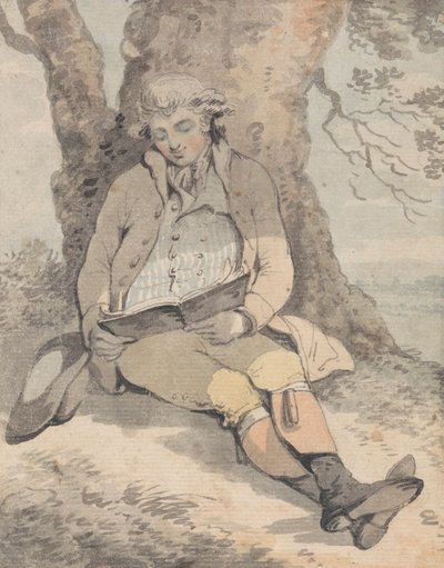 P. Wilkinson Esq. Sentado debaixo da sombra de um carvalho aprendendo a assobiar de Samuel Alken