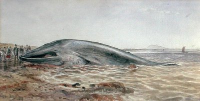 A baleia de Aberlady, Longriddy Bay de Samuel Bough