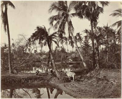 Dorpsgezicht em Bengalen, Índia
Cena rústica e vida de aldeia em Bengala (título original) de Samuel Bourne (signed by artist)