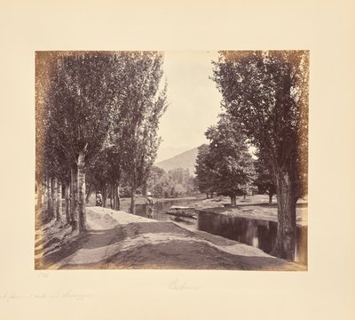  de Samuel Bourne