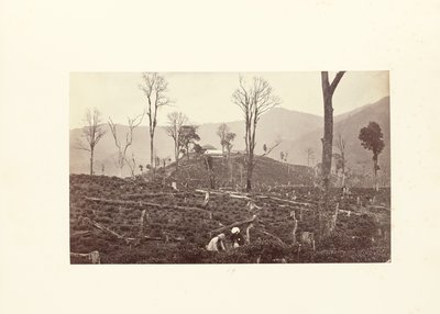  de Samuel Bourne