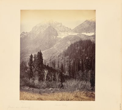 Glaciares perto de Sonamurg de Samuel Bourne