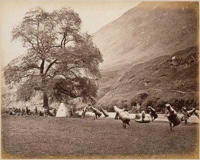  de Samuel Bourne