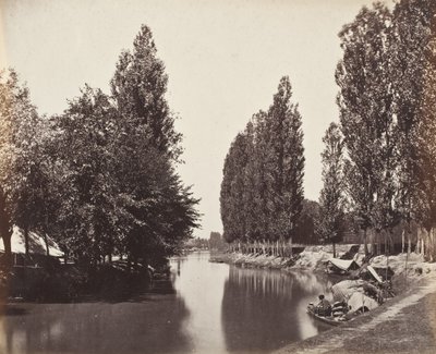 Rio com árvores (Índia) de Samuel Bourne