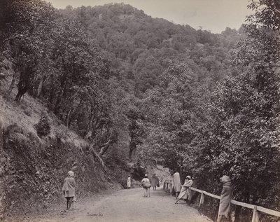 Shimla. O Mall ou a rua principal de Samuel Bourne