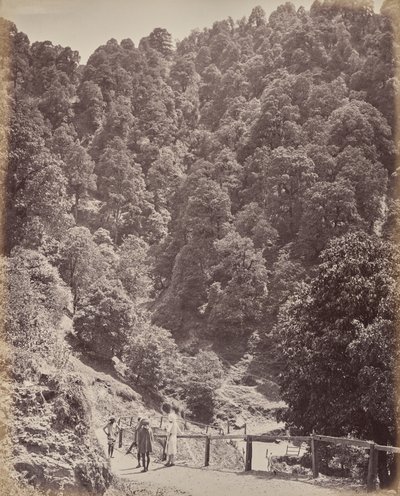  de Samuel Bourne