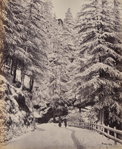  de Samuel Bourne