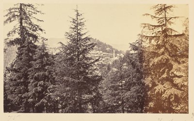 Simla; A igreja através das árvores, de Jakko de Samuel Bourne
