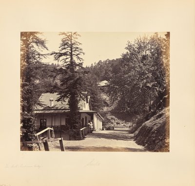 Simla; The Mall, Combermere Ridge de Samuel Bourne