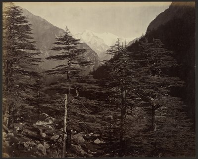 Picos nevados perto de Gangotri, de Bhairamghati de Samuel Bourne