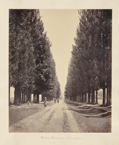  de Samuel Bourne