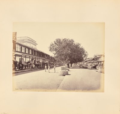 A Chandni-Chouk, a rua principal de Deli de Samuel Bourne