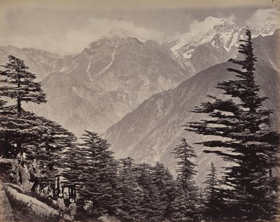 O Alto Himalaia. Vista perto das Montanhas da China. Cedros-do-Himalaia em primeiro plano de Samuel Bourne