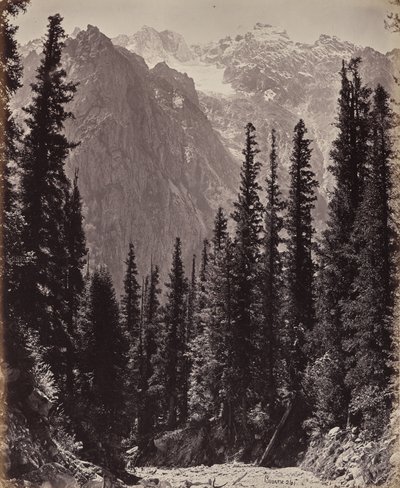  de Samuel Bourne