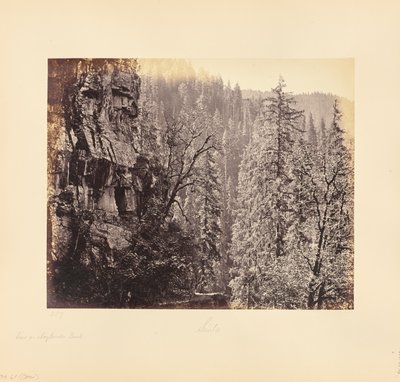 Vista na floresta de Narkunda de Samuel Bourne