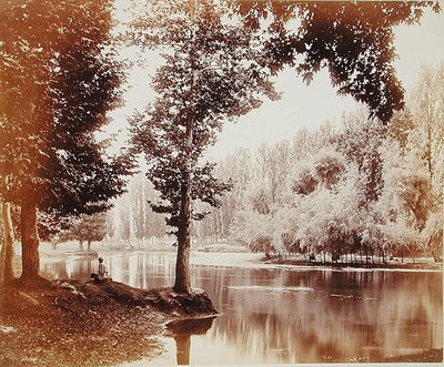 Vista no Canal de Dhul, Caxemira, c.1865 (foto sépia) de Samuel Bourne