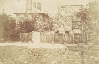 Árvore em Yard, 1850s. de Samuel Buckle