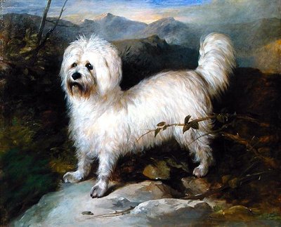 Pequeno Cão Branco em Paisagem (óleo sobre tela) de Samuel Coleman
