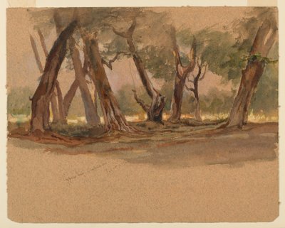 Ciprestes, Chapultepec, México de Samuel Colman