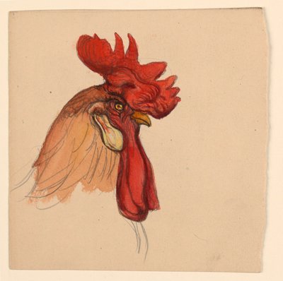 Cabeça de um galo de Samuel Colman