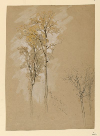 Oaks, Lady Wood Lane, Irvington de Samuel Colman