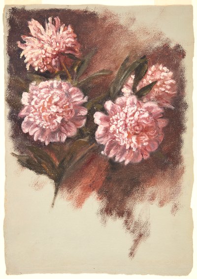 Peônias Vermelhas de Samuel Colman