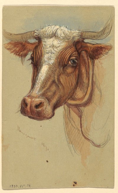 Esboços de Narragansett, Rhode Island de Samuel Colman