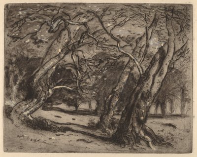 Sem título (Paisagem Arborizada) de Samuel Colman