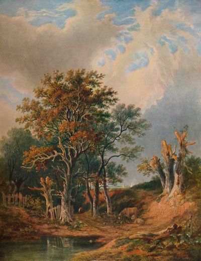 Paisagem, 1847 de Samuel David Colkett