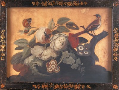 Galo de açougue-pássaro de Samuel Dixon