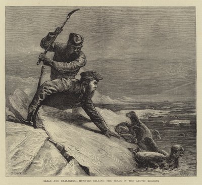 Focas e peles de foca, Caçadores matando os selos nas regiões árticas de Samuel Edmund Waller