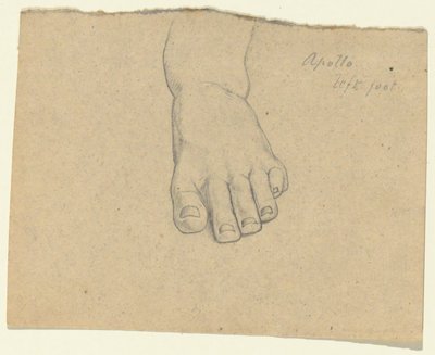 Estudo para o julgamento de Júpiter (Apollo, pé esquerdo) de Samuel Finley Breese Morse
