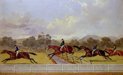 A Steeplechase de Samuel Henry Alken