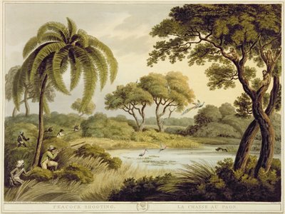 Peacock Shooting, da Oriental Field Sports, pub. por Edward Orme, 1807 (impressão) de Samuel Howett
