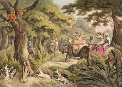 Shooting A Leopard, da Oriental Field Sports, pub. por Edward Orme, 1807 (impressão) de Samuel Howett