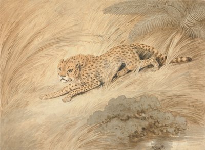  de Samuel Howitt