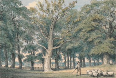 Uma Paisagem de Parque com Pastor e Ovelhas de Samuel Howitt